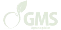 gms-agronegocios-1